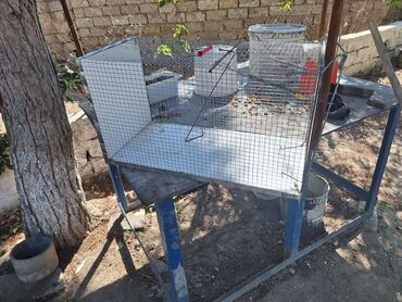 quş qefes: Tülkü tələsi
üzünü 66sm
eni 34