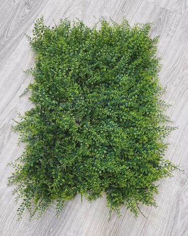 Digər ev dekoru: 5 man baslayan qiymetler Minumal qiymetler topdan ve perakenden satis -da lalafo.az — 11 Digər ev dekoru: 5 man baslayan qiymetler Minumal qiymetler topdan ve perakenden satis — 11