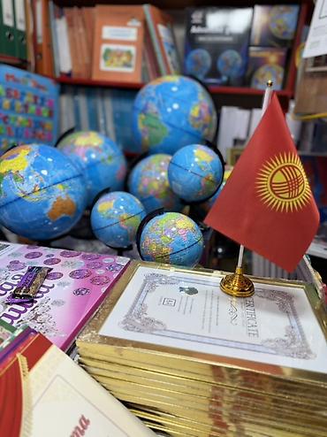 блиярдный стол: Глобус настольный с подставкой - Классическая учебная политическая — 3