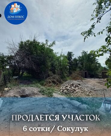 оскон ордо жер: 6 соток, Бизнес үчүн