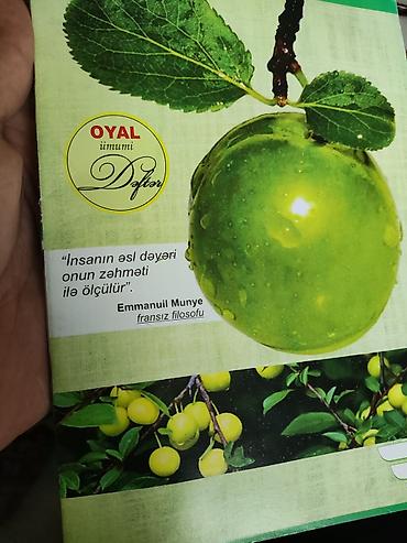 müəllimə: Repetitor, Rus dili, Azərbaycan dili, İmtahanlara hazırlıq, Abituriyent hazırlığı — 2