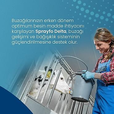 mal yemi: Sprayfo Delta buzov süd əvəzedicisi buzovların sağlam inkişafı və — 4