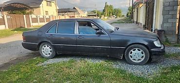 акорд 96: Mercedes-Benz S-Class: 1992 г., 5 л, Автомат, Газ, Седан — 4