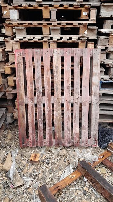 pip agaci: Pallet, 800 х 1200 sm, Ödənişli çatdırılma — 9