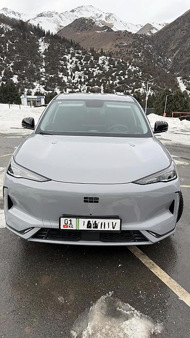 Geely: Geely : 2025 г., Электромобиль, Кроссовер — 8