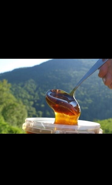 Мёд: Продаю Ат-башиннский чистый мед, гарантия 100 % есть белый мед