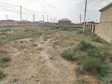 Torpaq sahələrinin satışı: 6 sot, Tikinti, Kupça (Çıxarış) — 7