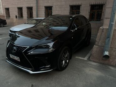 чехол для некси: Lexus NX: 2019 г., 2 л, Автомат, Бензин, Кроссовер