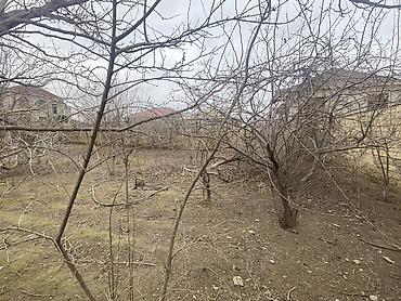 Torpaq sahələrinin satışı: Tikinti — 8