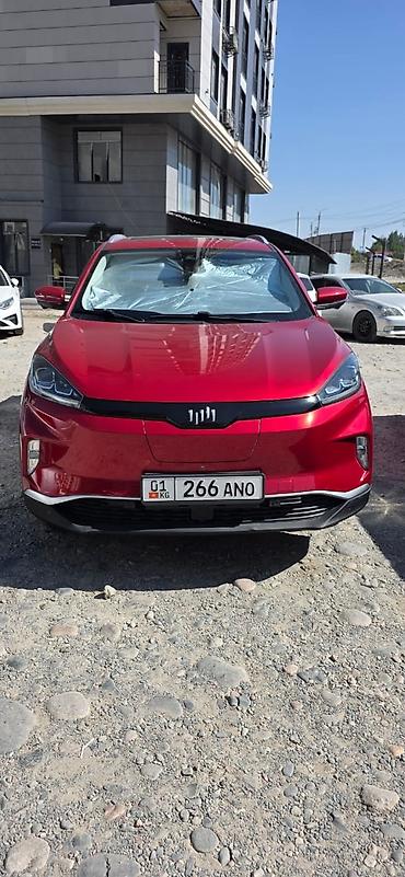 Weltmeister EX5, 2019 г.