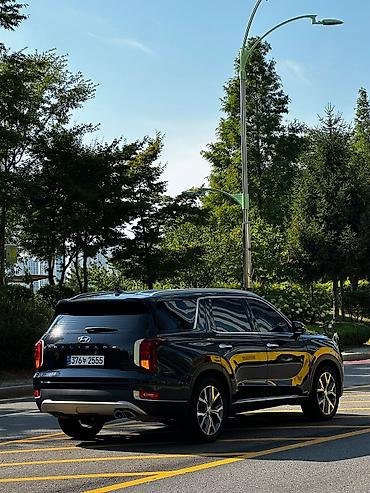 200: Hyundai Palisade: 2020 г., Автомат, Дизель, Кроссовер — 2
