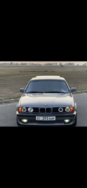 заслонка нексия 2: BMW 5 series: 1991 г., Механика, Бензин, Седан