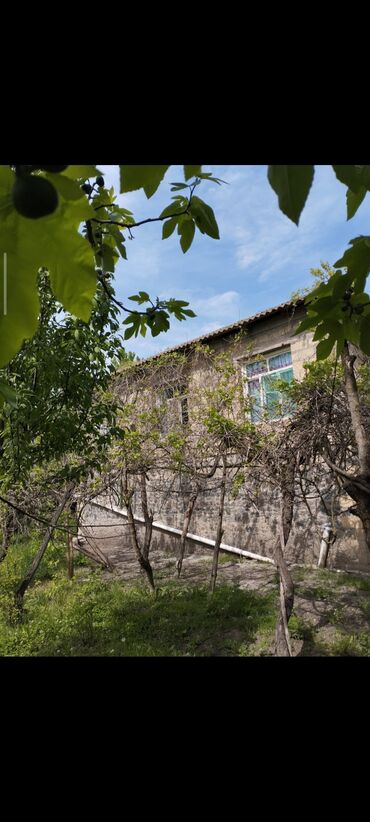 Həyət evləri və villaların satışı: 3 otaqlı, 60 kv. m -da lalafo.az — 12 Həyət evləri və villaların satışı: 3 otaqlı, 60 kv. m — 12