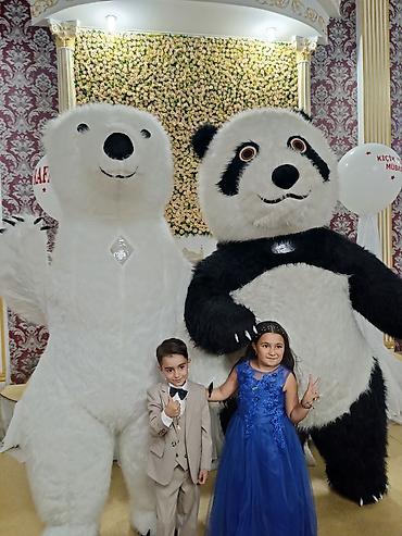 kombi və radiatorların satışı: Şou xidmətləri – nəhəng maskot ayı personajları Tədbirləriniz üçün — 1