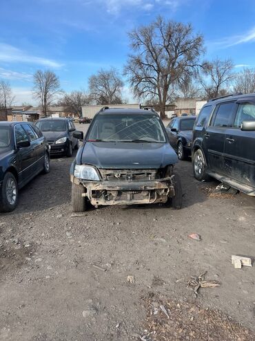 дордой авто запчасть: Honda CR-V: 1999 г., 2 л, Механика, Бензин, Кроссовер