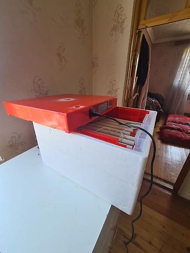 Bütün növ quşlar üçün lalafo.az -da Bütün növ quşlar üçün