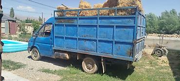 Ford Transit: 1991 г., 2.5 л, Механика, Дизель, Фургон