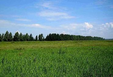 33 соток, Для строительства, Договор купли-продажи