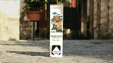 Aromatik maddələr: Qamış diffuzor, ətraf mühitə davamlı və xoş ətir yaymaq üçün istifadə — 8