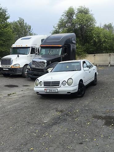 мерседес бенс 300: Mercedes-Benz E-Class: 1997 г., 2 л, Механика, Газ, Седан — 2