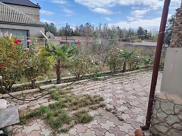 Həyət evləri və villaların satışı: NOVXANL BAĞLARI DƏNİZ KƏNARI 12 DAŞ KÜRSÜLÜ QİYMƏTDƏ ENDİRİM OLUNACAQ — 9