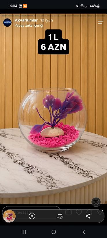 akvarium balıqlar: Yumru akvarium, Boş, 1 l — 8
