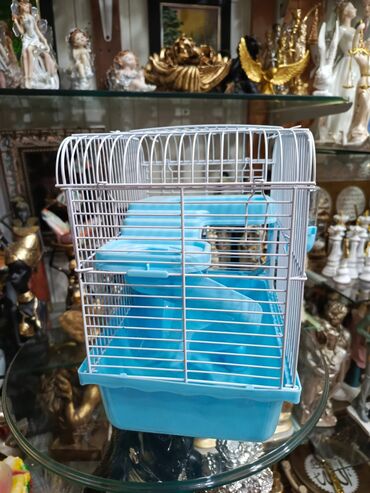 Dovşanlar: Dovşan yemləri 1-kilosu 2azn Dovşan balaları 5azn topdan Tək tək 9-azn — 6