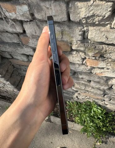 Apple iPhone: IPhone 12 Pro Max, Зарядное устройство, Чехол, Коробка, 81 %