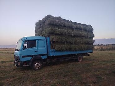 бампер мерседес гигант: Mercedes-Benz Спринтер: 1997 г., 6 л, Механика, Дизель, Лимузин — 8