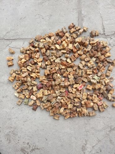 купить фишки для покера: Продаю Альчики.по 2 сом шт