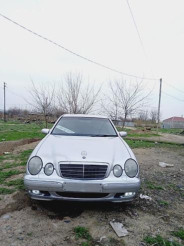 Mercedes-Benz: Mercedes-Benz E‑Class W210 sedan - Kuzov: sedan, gümüşü rəng - — 1