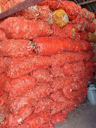 на ферме есть куры козлы и коровы: Продаю кукурузные кочерыжки. замешкованные. 9сом за кг. Есть около 800