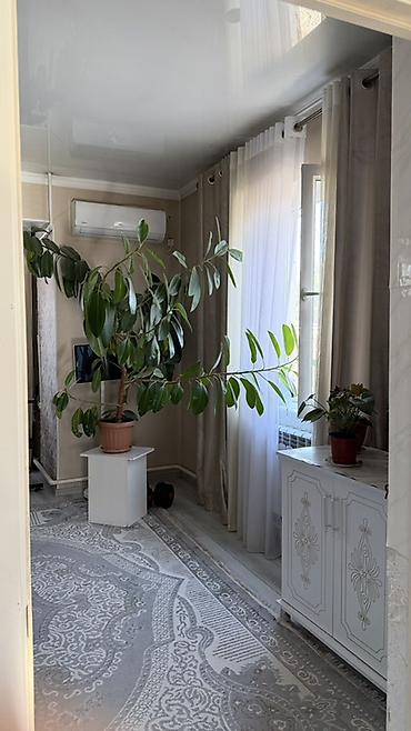 Продажа коттеджей и домов: 5 комнат, 210 м², 5 соток, Новопавловка, Собственник at lalafo.kg — 14 Продажа коттеджей и домов: 5 комнат, 210 м², 5 соток, Новопавловка, Собственник — 14