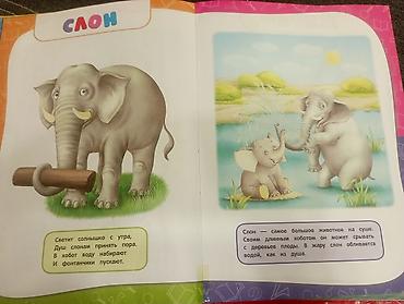 бумажный: Годовой курс занятий 1-2 года, авторы Давидович, Мазаник, Цивилько — 6
