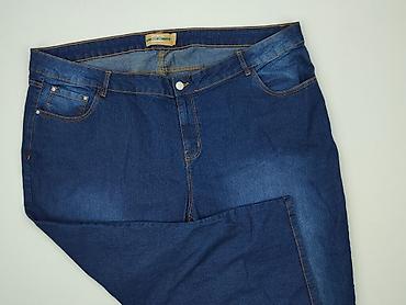 janina stretch: Janina, Jeansy damskie, rozmiar 5XL — 8