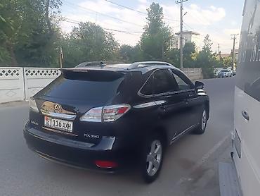 Lexus: Lexus RX: 2010 г. — 3