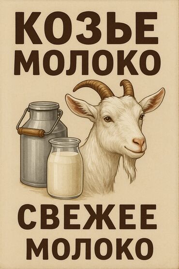 где можно купить козье молоко: Козье молоко
Домашний молоко 
Бишкек
