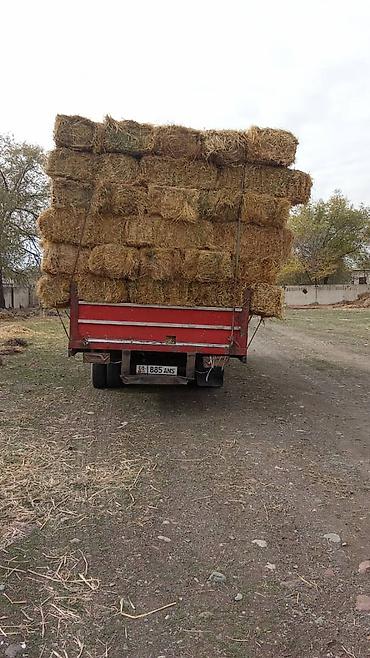 жмых подсолнуха: Продаю клевер 1 укос с травой по 250 сомов. Звоните по номеру — 1