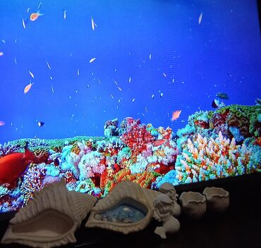 Digər ev dekoru: Sifariş öncədən qəbul olunur — 10