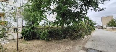 Köhnə tikili: Şirvan, 2 otaqlı, Köhnə tikili, 50 kv. m — 4