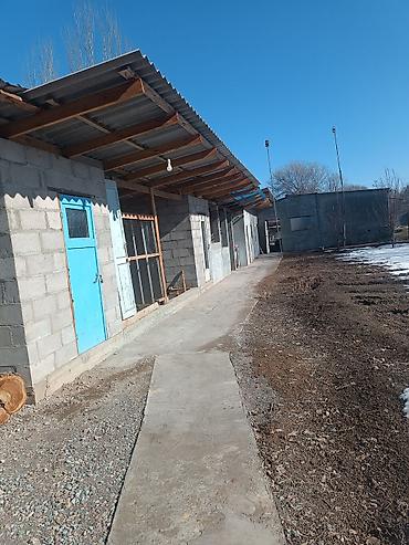 Аренда складов и мастерских: Продаю Дом с хоз постройками и земельным участком 9 соток. внутри — 6