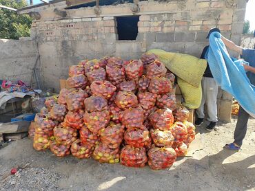 фруктовый букет бишкек: Яблоки