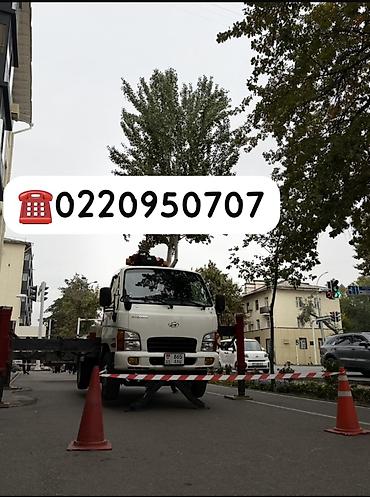 Стрела 30 м, 350 т