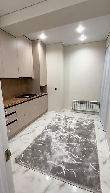 джалал абаде: 2 комнаты, 64 м², Нижний Джал (Джал-23) Элитка, 14 этаж, Евроремонт — 5