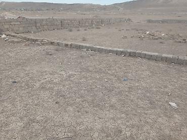 torpaq sarayda: 10 sot, Tikinti, Makler, Kupça (Çıxarış) — 10