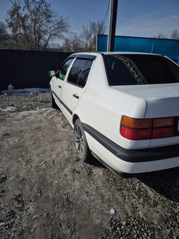 венто цена бишкек: Volkswagen Vento: 1995 г., 1.8 л, Механика, Бензин, Седан