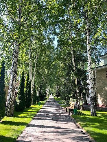 Продажа квартир: 3 комнаты, 54 м² — 21