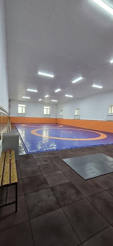 Долгосрочная аренда домов: 350 м², 4 комнаты — 10
