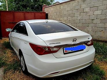 bmw 316: Hyundai Sonata: 2014 г., 2 л, Автомат, Газ, Седан — 3