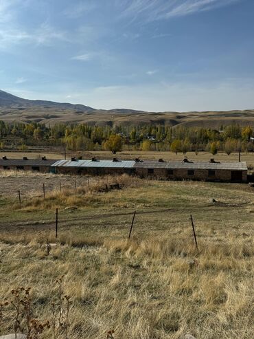 Сельхоз предприятия: Продаю Кошара, 110 соток, Действующий — 9